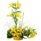 Fragrant 6 Stemmed Yellow Lilies in a Beautiful Cluster