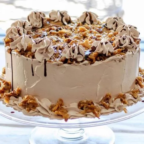 Sumptuous Coffee Mania Cake