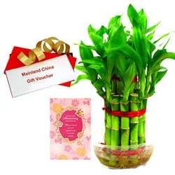 Delightful Combo of Bamboo Plant, Anniversary Card with Mainland China Voucher