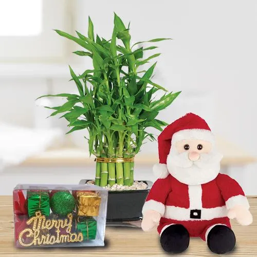 Ever-Blooming 2 Tier Bamboo N Santa Teddy Gift Combo