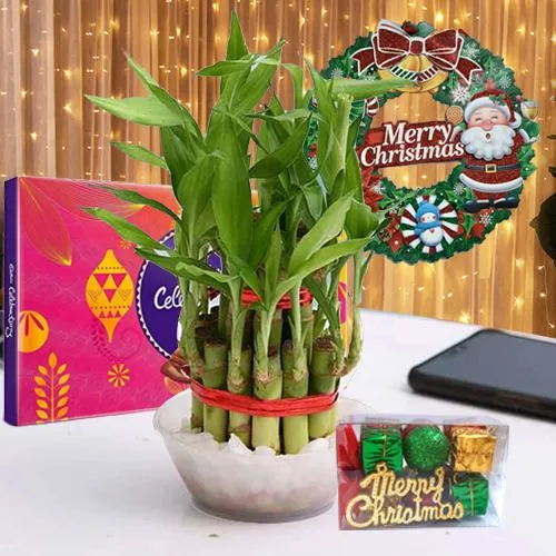 Attractive Gift of Lucky Bamboo, LED Light, Cadbury Celebration n Wreath