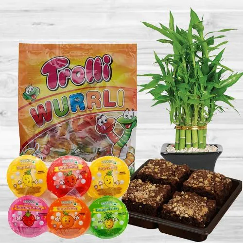 Premium Combo of 2 Tier Lucky Bamboo with Chocolates n Brownie