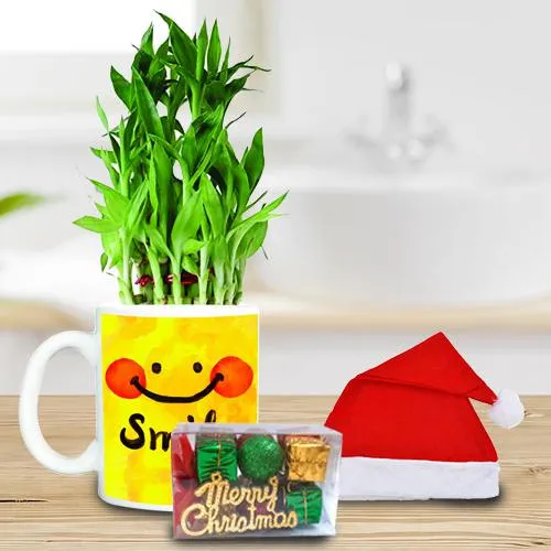 Remarkable Plants Gift Hamper