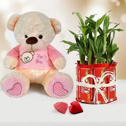 Dazzling Hug Me Teddy, Chocolate n Lucky Bamboo Gift Combo for Propose Day