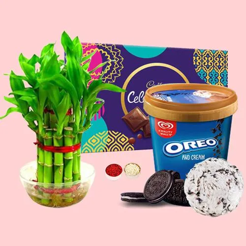 Ideal Gift of Kwality Walls Oreo Ice Cream n Lucky Bamboo Plant n Chocolates