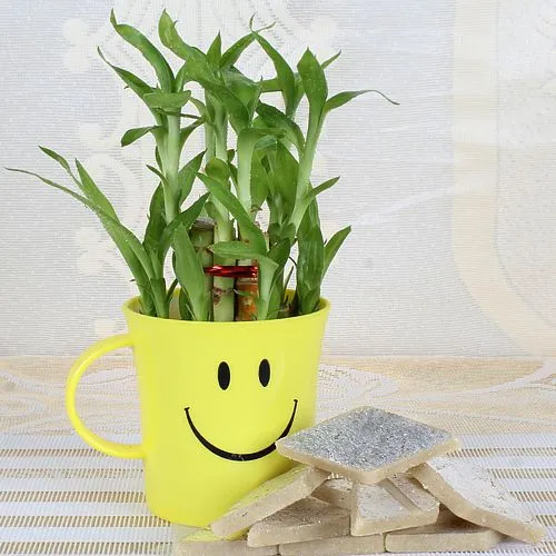 Eye-Catching Smiley Mug of Bamboo Plant with Kaju Katli Sweet  	