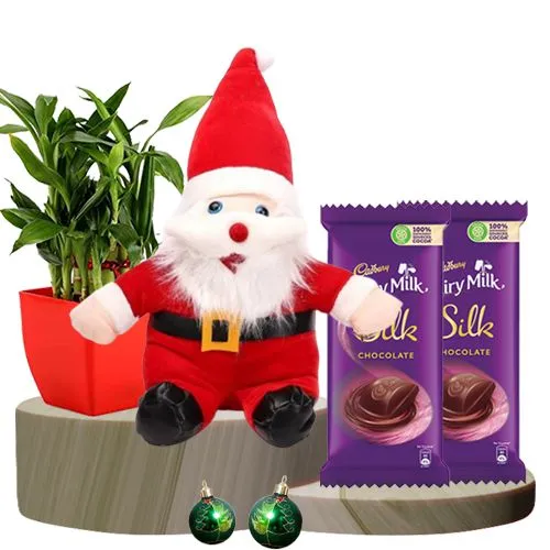Super Sorted Chocolate n Plant Gift Treat