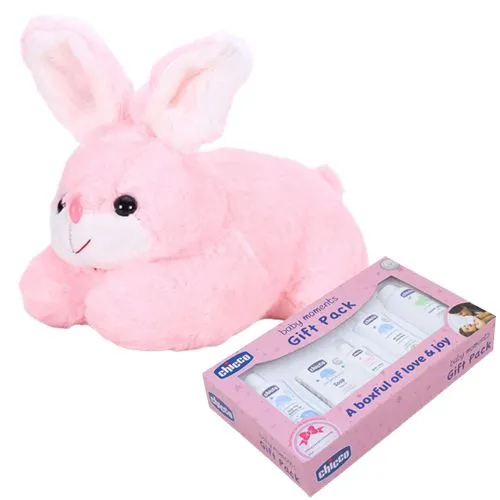 Marvelous Rabbit Soft Toy N Chicco Baby Care Set for Girls