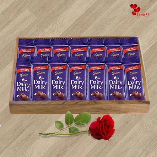 Dairy Milk Chocolates N Red Rose Gift for Rose Day