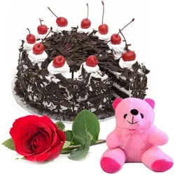 Send Black Forest Cake with Teddy N Red Rose