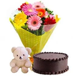 Shop for Chocolate Cake with Gerberas Bouquet and Teddy