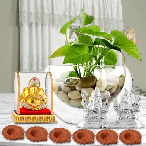 Good Luck Diwali Hamper of Money Plant, Haldiram Sweets, Idol n Free Diya