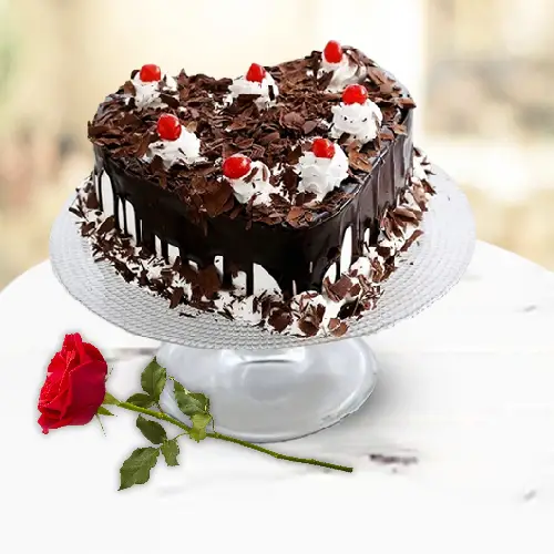 Exciting Valentine Gift of Black Forest Cake with Single Red Rose