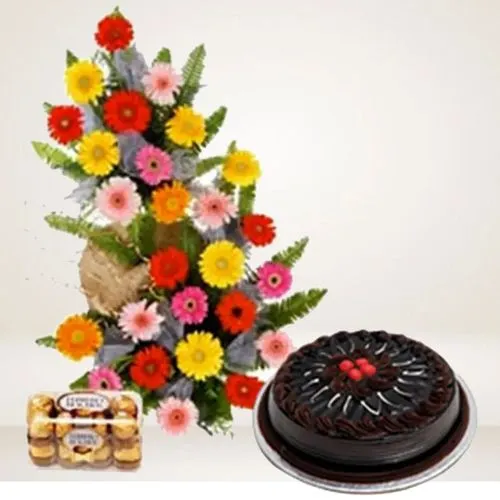 Breathtaking Combo of Mixed Gerberas n Choco Cake with Ferrero Rocher