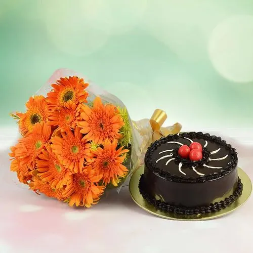 Alluring Combo of Orange Gerberas Bouquet with Chocolate Cake