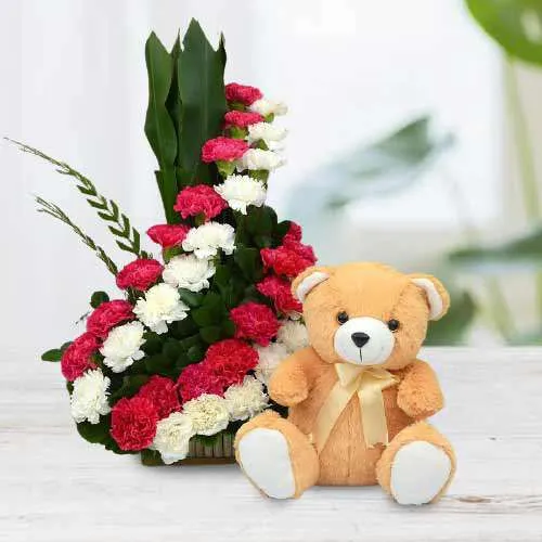 Mesmerizing Red n White Carnations Bouquet with Teddy Combo