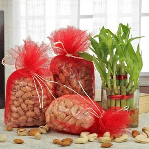 Lovely Mixed Dry Fruits with Two Layer Bamboo Plant