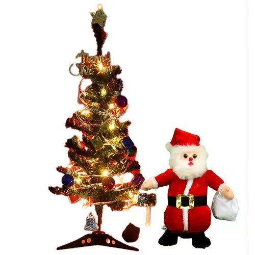 Elegant Combo of Santa Claus with Rice Light N Xmas Decoration