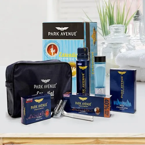 Beautifying Park Avenue Mens Grooming Kit