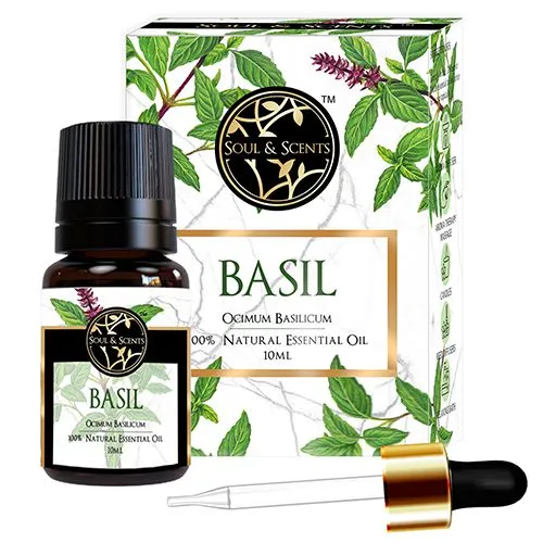 Essential Elegance  Basil Essential Oil