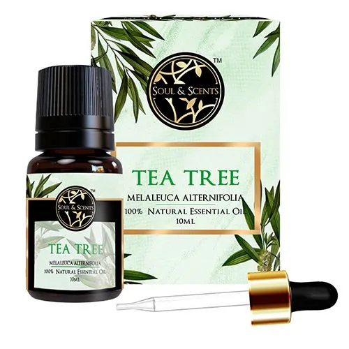 Divine Tea Tree Essential Oil