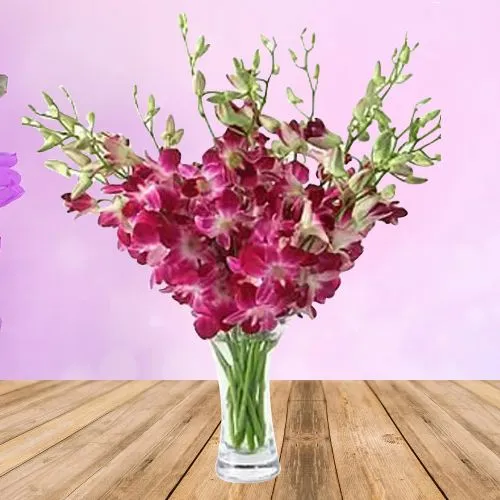 Alluring Orchid Magnificence in Vase