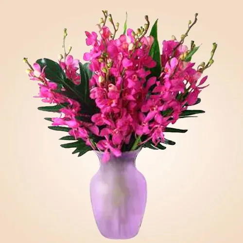 Forest Fantasy Orchids Excellence in Vase