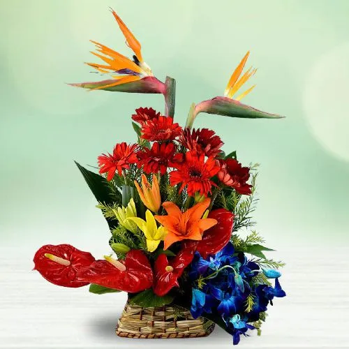 Stunning Basket of Vibrant Color Flowers