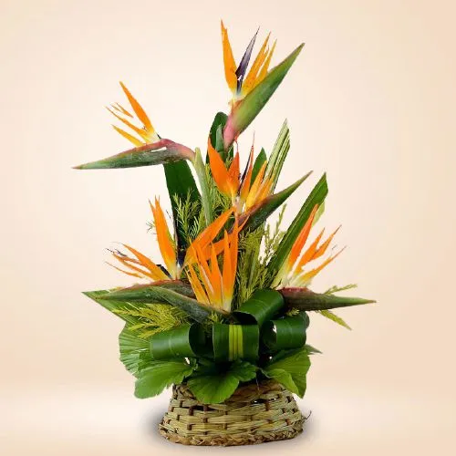 Fascinating Basket of 6 Birds of Paradise with Fillers