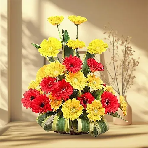 Captivating 20 Gerberas Flowers Fiesta