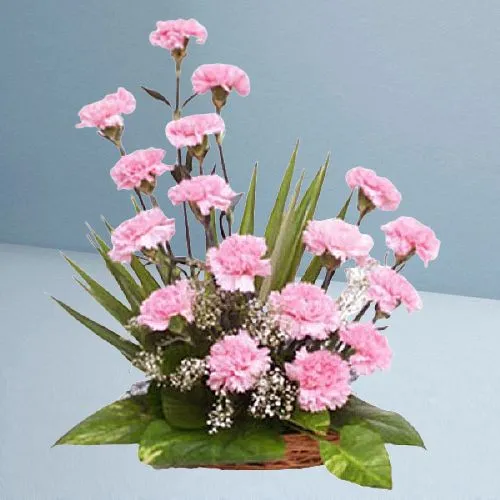 Glamorous Basket of 18 Pink Carnations