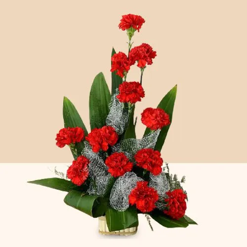 Alluring 12 Red Carnations Basket