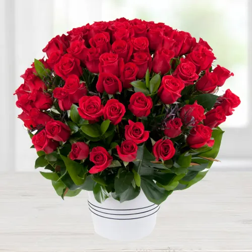 Luxurious Valley of 100 Dutch Red Roses Bouquet
