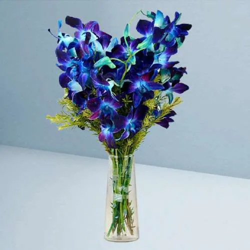 Dazzling 12 Blue Orchids Display in Vase