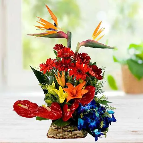 Vivid Colors Exotic Blooms Basket