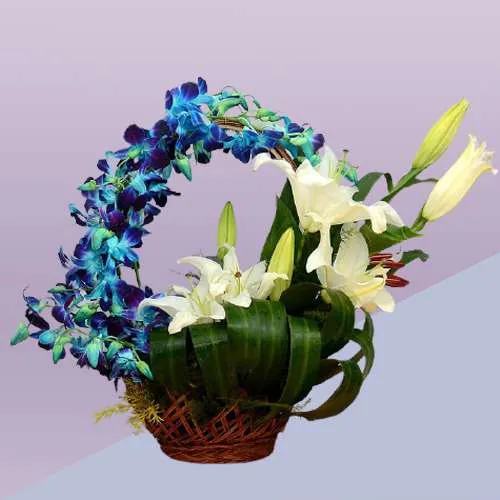 Spectacular Basket of Blue Orchids n White Lily