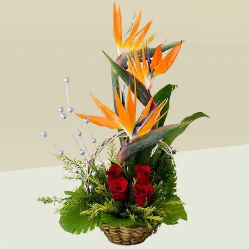 Gorgeous Exotic Flowers Basket
