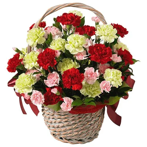 Delightful Basket Full of 15 Mixed Carnations