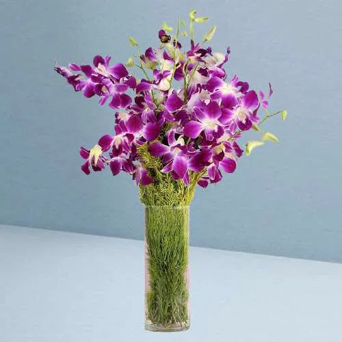 Purple Dominance Vase of Orchids