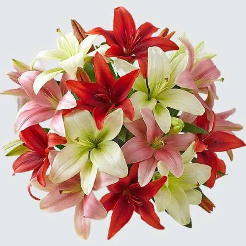 Splendid Mixed Lilies Bouquet
