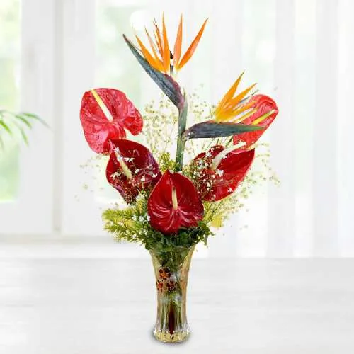 Elegant Red Anthuriums n Birds of Paradise Vase