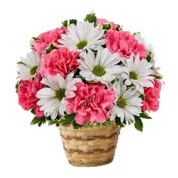 Lovely colorful Flower arrangement in a Bamboo Pot