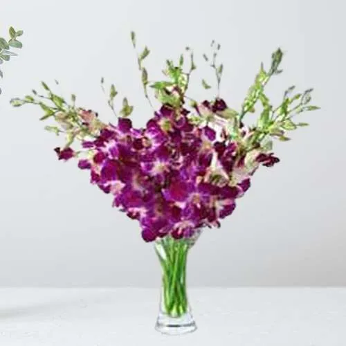 Fantastic Purple Orchids n Gladiolus in Vase