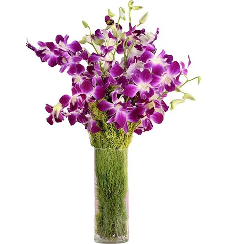 Resplendent fresh humper Orchids in a Vase