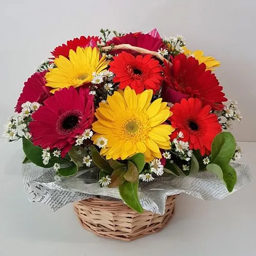 Captivating Dozen Mixed Gerberas Basket