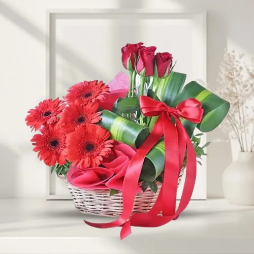 Graceful Basket Arrangement of Red Gerberas N Roses