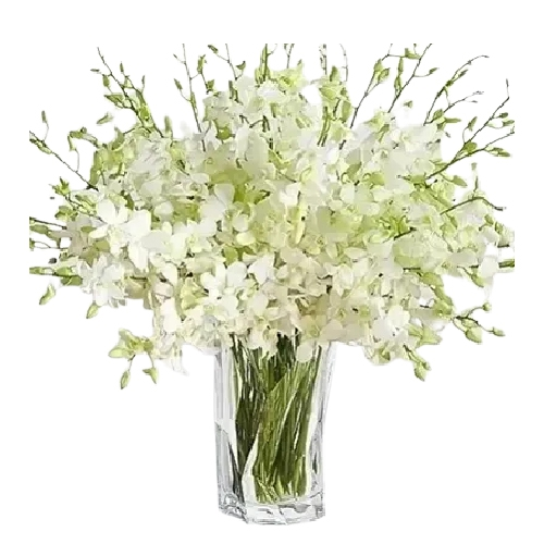 Exotic White Orchids Vase Arrangement