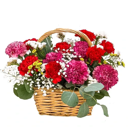 Delightful 30 Mixed Carnations in a Brilliant Arrangement