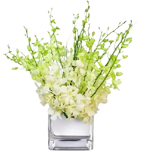 Heavenly White Orchids Vase Arrangement