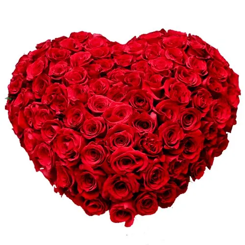 Enchanted Red Colored 150 Dutch Roses Heart Shaped Arrangement